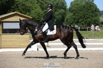 362-SPIRIT'S_GEMINI-Harry_Dzenis-WEDTrotUp+DR portfolio