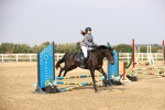 SBM_001219