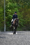 WJ5_9919