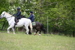 WJ6_1726
