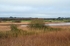 Wexford Wildfowl Nature Reserve, Co. Wexford, Ireland