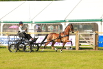 SBM_00271