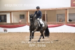 BPP_9166