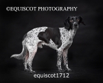 equiscot1712