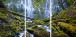 Proxy Falls Triptych
