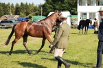 SBM_19289