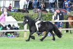 SBM_51855