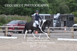 BPP_7936
