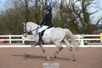 Class 3, Freestyle Music Novice Silver portfolio