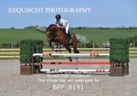 BPP_8191