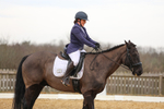 Class 5: Novice 1 2024 Section A portfolio