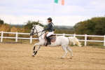 SBM_007528