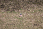 Black Combe-628