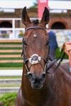 130626-Race 6-Point Of Contact-2245