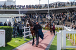 241025-Race 1-Minella Missile-7816