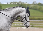 BPP_7013