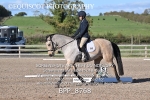 BPP_8768
