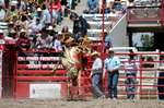 3HRodeo7-20-25_CFD_03291_