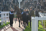 151124-Race 2-BTO-Springwell Bay-7370