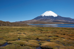 Parinacota Volcano