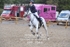 BPP_7544