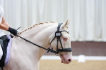 SBM_007557