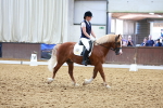 SBM_008993
