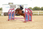 SBM_007716