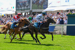 230526-Race 2-Possessive-6193