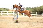 SBM_003215