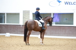 SBM_003993