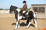 SBM_01182