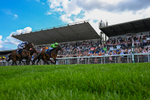300826-Race 2-Jm Jungle-6084