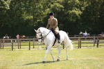 SBM_16145