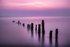 Sandsend Groynes 01