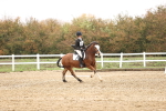 SBM_001954