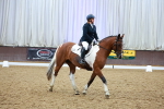 SBM_004863