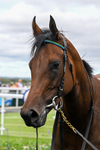 040726-Race 7-Zoulette-5825