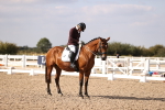 SBM_08051