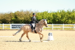 SBM_000077