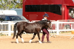 SBM_10920