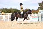 SBM_14242