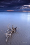 advancing tide at Findhorn