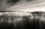 Dawn