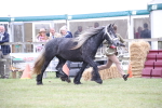 SBM_09794
