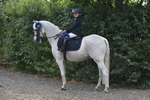 SJ3_9396