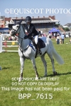CLASS 5 ScottiBranch Outdoor Open Championship Inc The Wright , Johnston & Mackenzie LLP RHS Young M portfolio