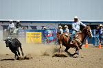 3HRodeo8-11-25_PRCASteer_04760_