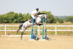 SBM_000827