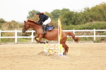 SBM_008048